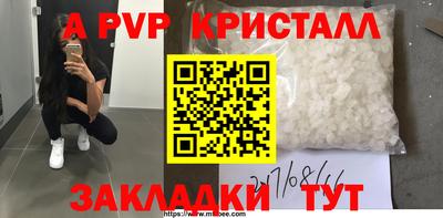круглые Кингисепп