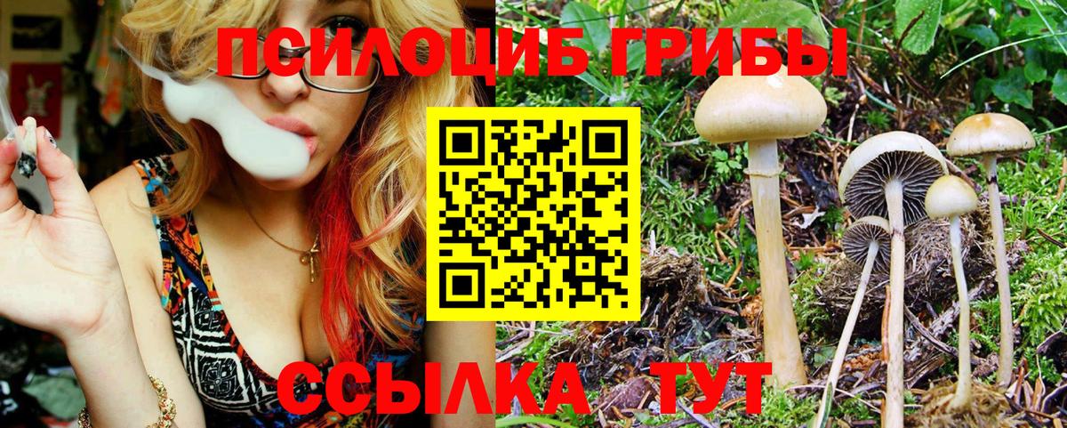 Галлюциногенные грибы GOLDEN TEACHER Красноярск